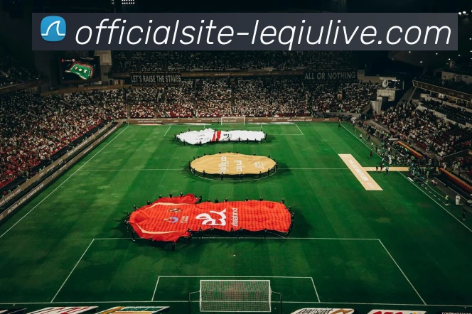 乐球直播APP 封面图