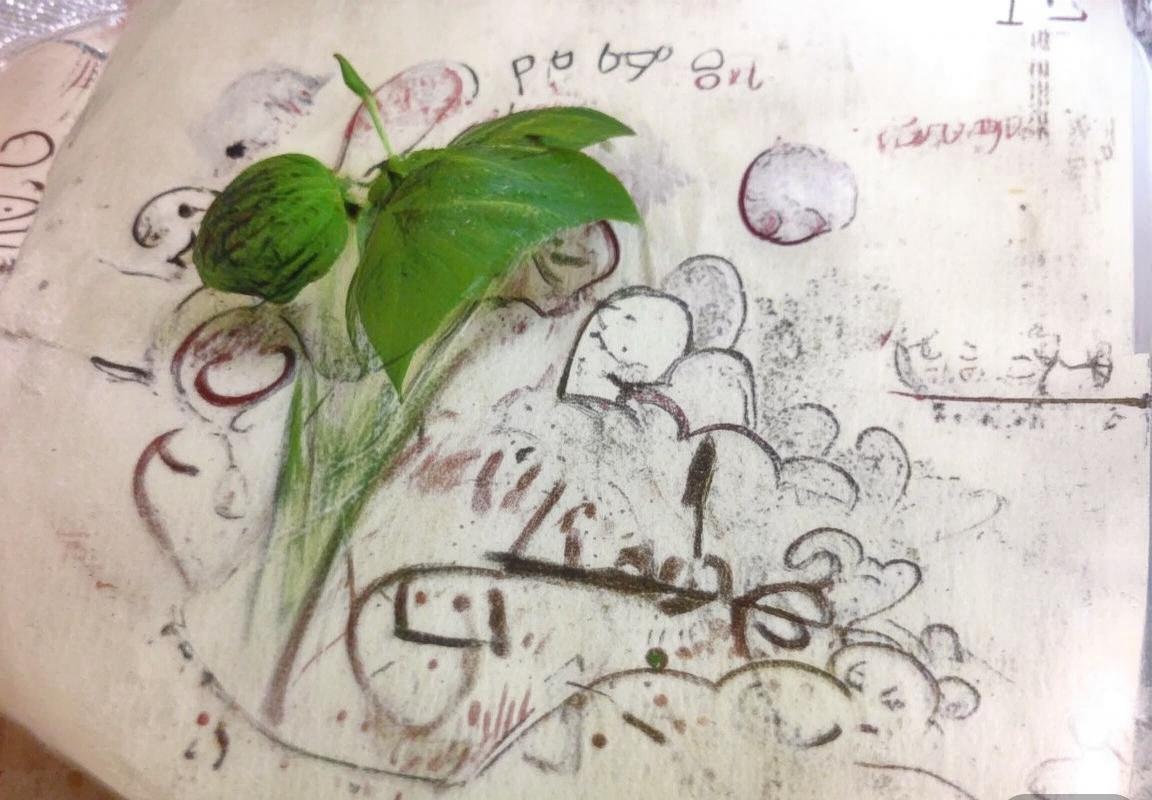 巴萨罗马巅峰对决前瞻：激情碰撞盛事即将上演